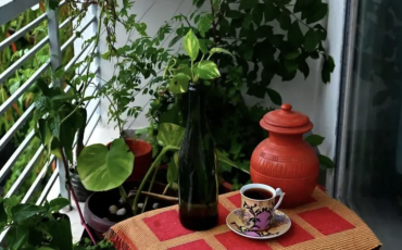 Tuinambassadeurs Stappenplan balkontuinieren