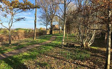 Teylingen en MEERGroen bieden inwoners ruimte voor ecologisch groen