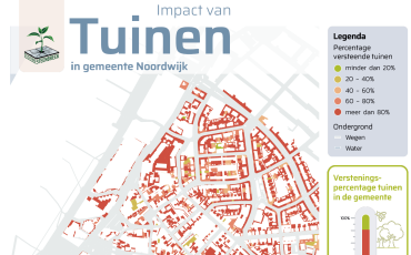 Hoe zit het met de verstening in de Duin- en Bollenstreek?