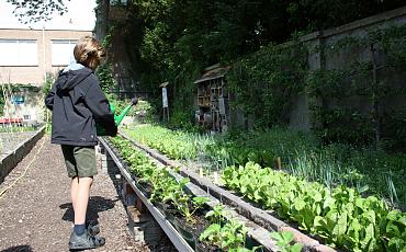 Tip van de Tuinambassadeurs: Je tuin minder vaak water geven