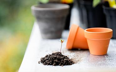 Zomertips van de tuinambassadeurs!