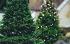 BuurtKracht - kerstboom voor in de straat