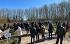 Kom gratis bomen halen en/of help mee planten op 18 maart