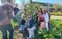 Opening Buurtgroen Berenklauwstraat in Voorhout