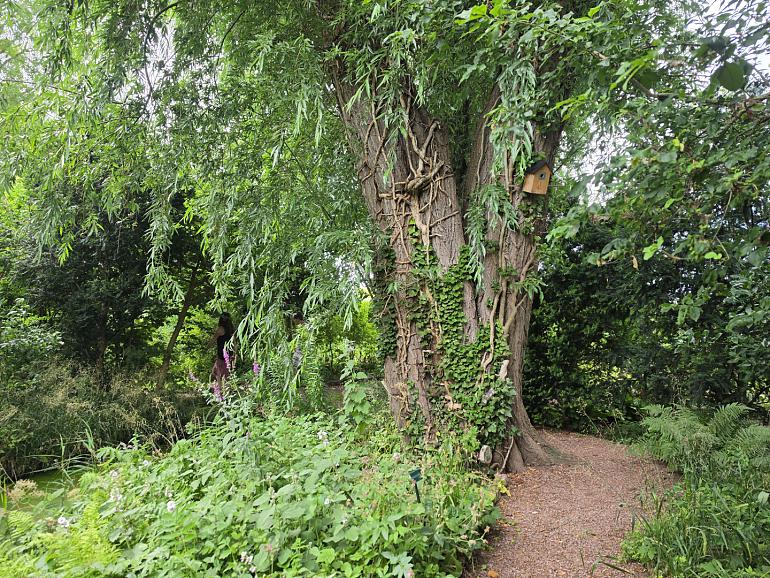 Themadag Heemtuin Lisse