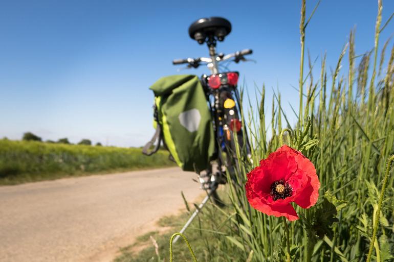 Eerste Fairtrade fietstocht Teylingen