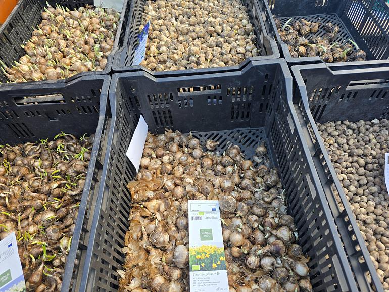 Natural Bulbs Biobollen evenement