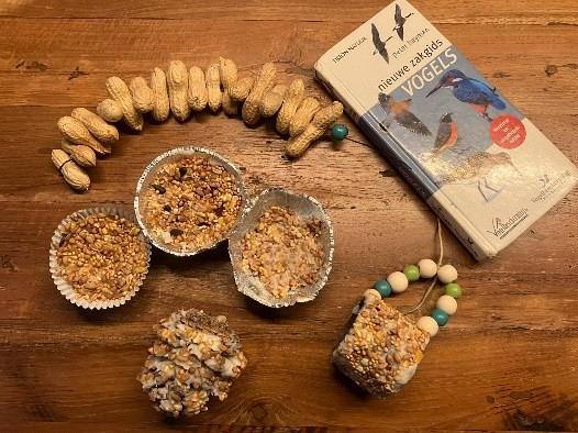 Help de vogels de winter door (Jeugdactiviteit)