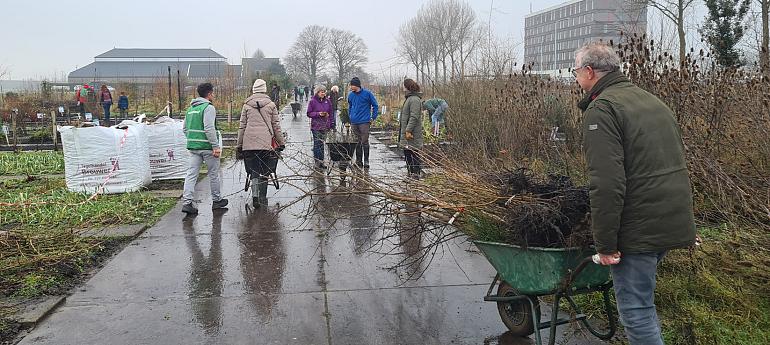 Gratis boompjes ophalen in Sassenheim!