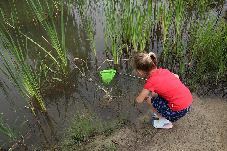 Slootje vissen met Natuur Ontdekking Centrum Koudenhoorn