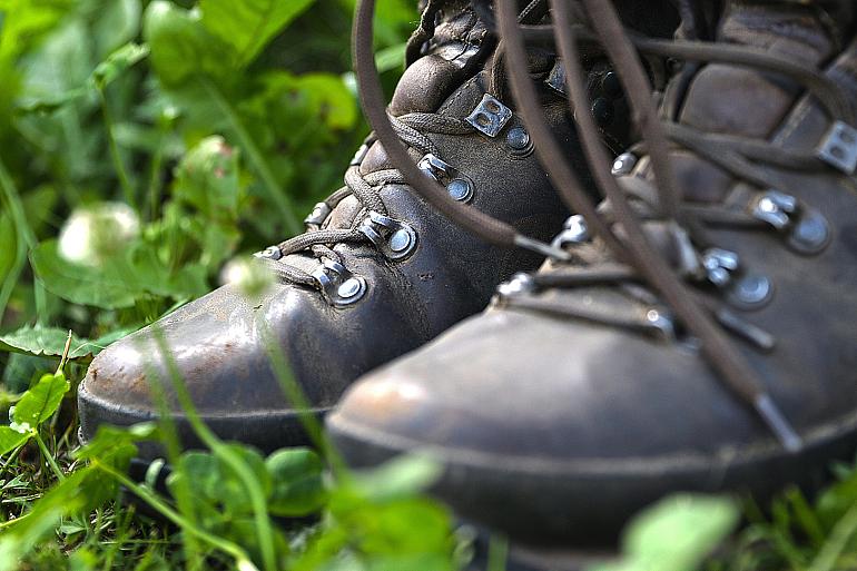 Wandeling met Natuurvereniging KNNV over Wassergeest