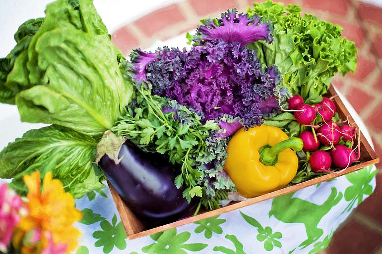 De BuurtHap: duurzaam eten, gezellig ontmoeten!