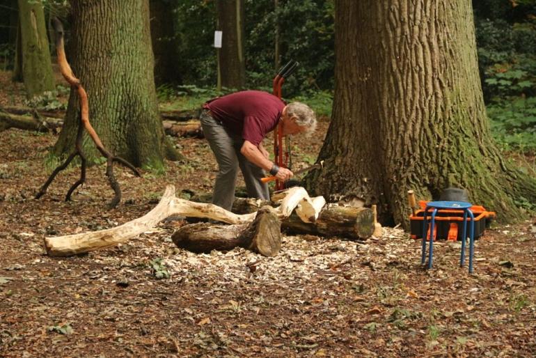 Kunst in 't Overbosch / Kunst voor Kids