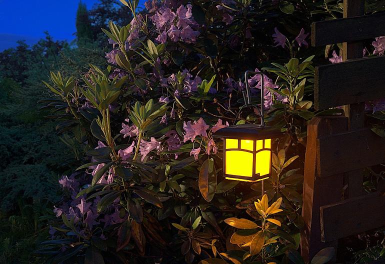 LED verlichting in je tuin! 