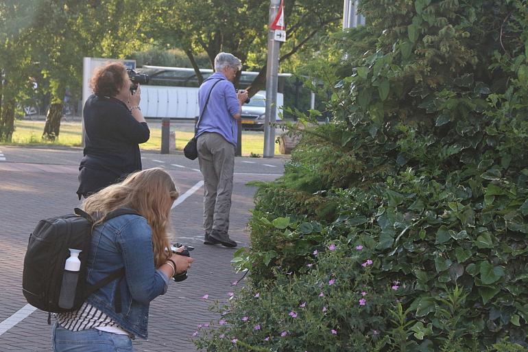 Kijk eens anders naar het groen om je heen...