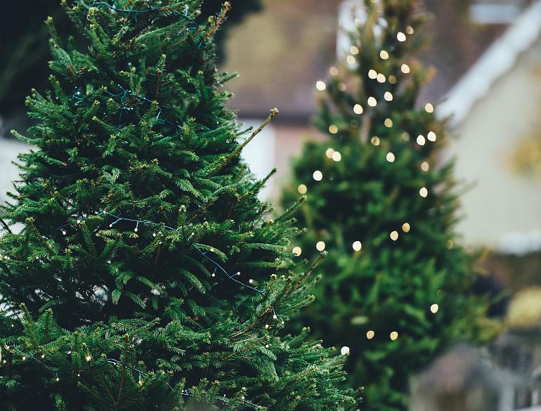 BuurtKracht - kerstboom voor in de straat