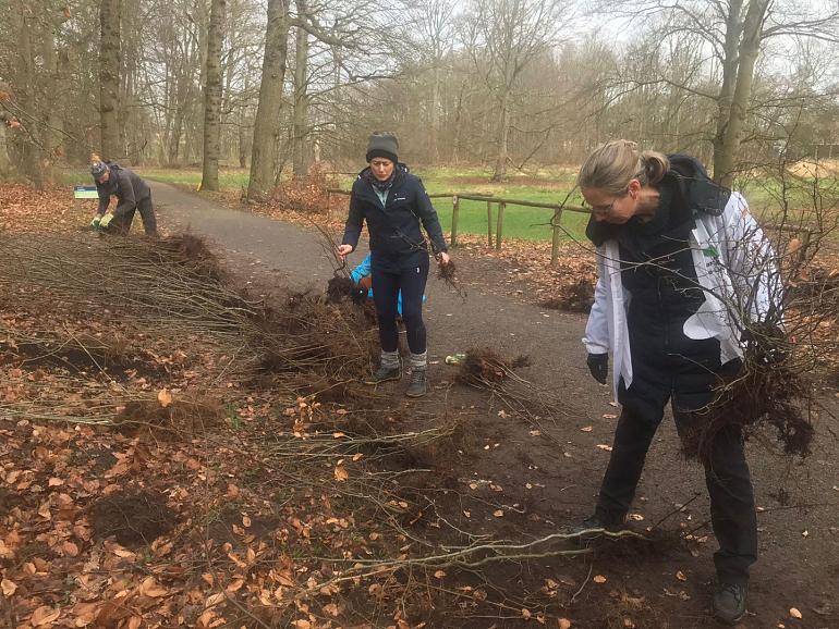 Bomen redden in Park Rusthoff, help je mee?