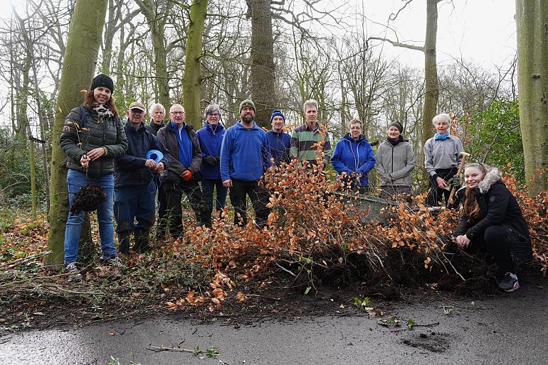 Meer dan 1200 bomen en struiken geoogst in Park Rusthoff 