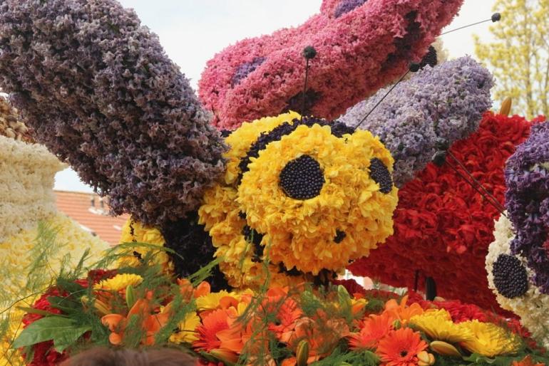 Bloemencorso Bollenstreek steeds duurzamer