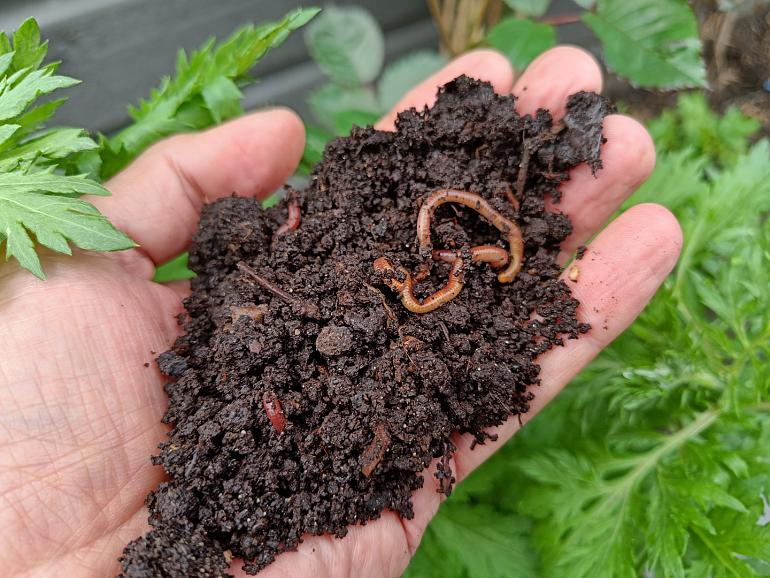 Tip van de Tuinambassadeurs, meer doen met GFT