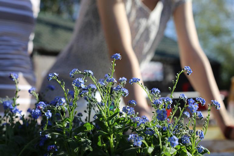 Zomertip van de Tuinambassadeurs