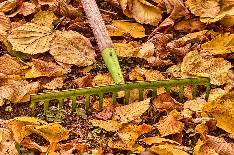 Tuinambassadeurs: Tuintips voor het najaar