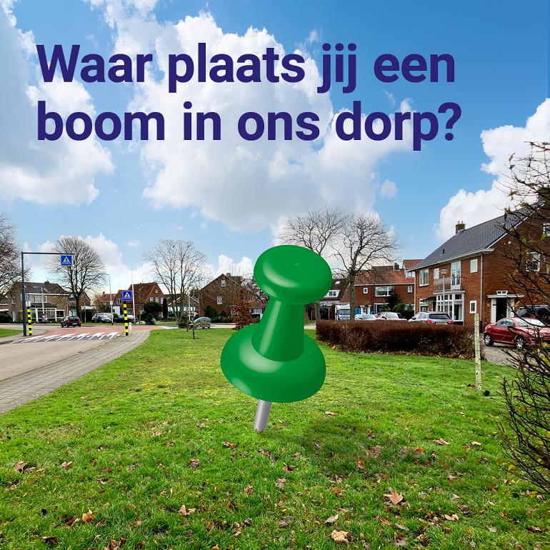 800 Extra bomen in Noordwijk, weet jij een goede plek?