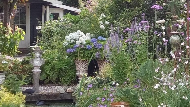 SOS zoekt tuinen voor eerste Sassenheimse Open tuinendag