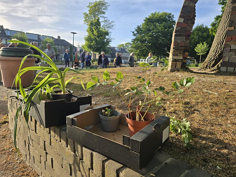 Samen vergroenen door plantjes te ruilen