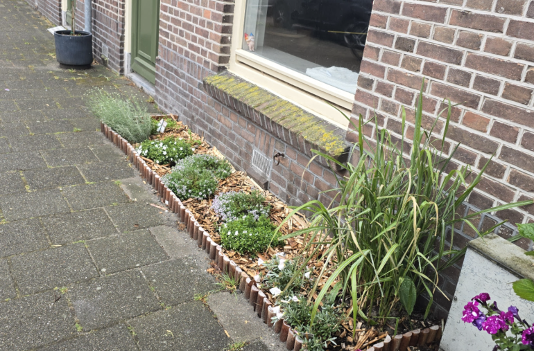 Tip van de Tuinambassadeurs: Maak je straat groener met een geveltuintje!