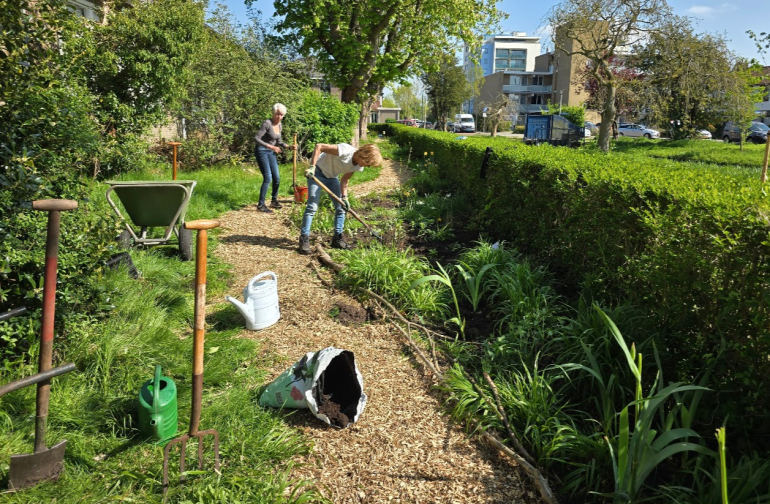 Tip van de Tuinambassadeurs: De gestruinde tuin