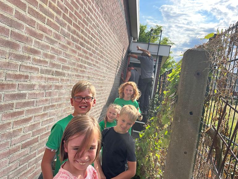 Speciale kraamplekken voor vleermuizen