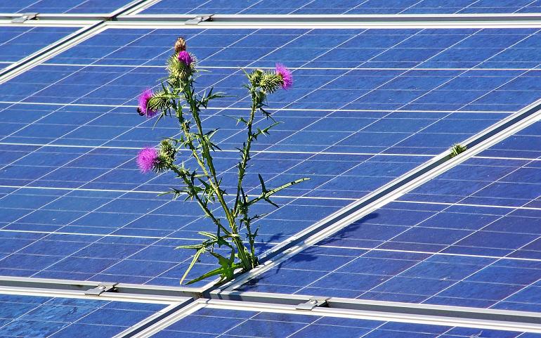 Zonnepanelen schoonmaken: tips en aandachtspunten