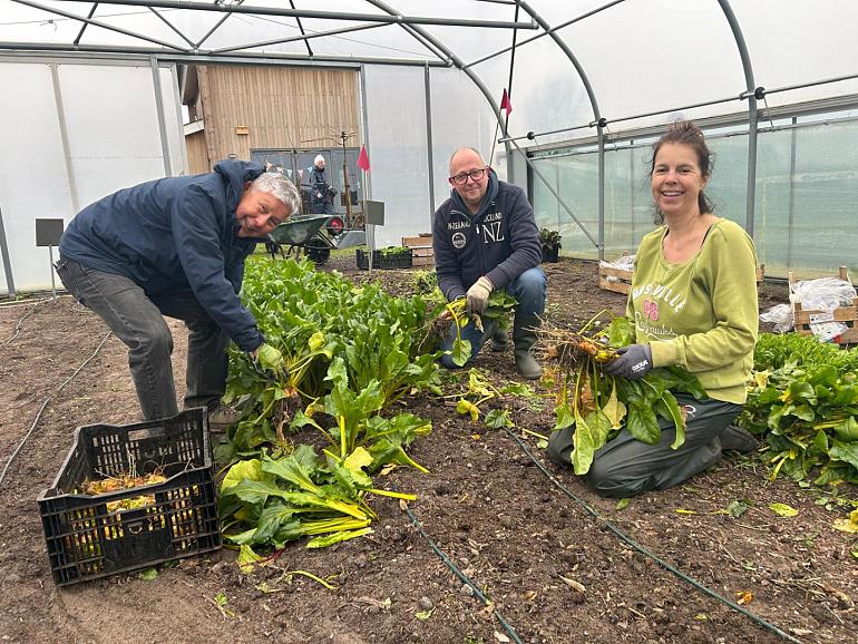 Handen uit de mouwen tijdens NLdoet!