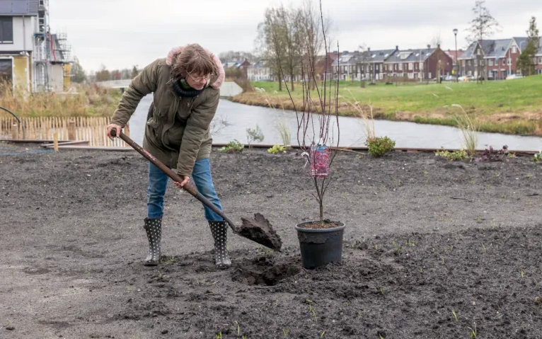 Tuinambassadeurs Stappenplan voor een nieuwe tuin