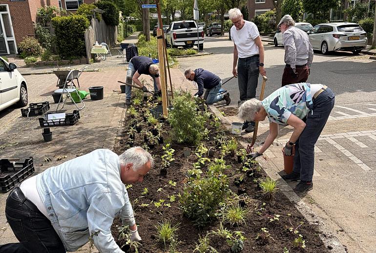 Maak jouw buurt groener met het buurtgroenbudget Lisse