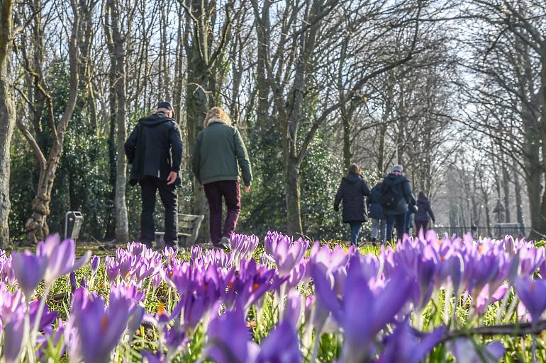 Nieuwe wandelgroep in Hillegom, Lisse en/of Teylingen 