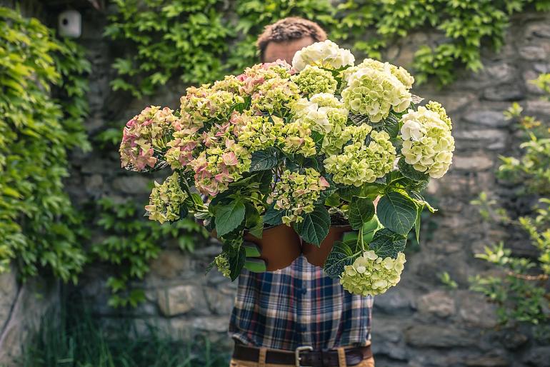 Moedertje Groen start planten- en bomenasiel