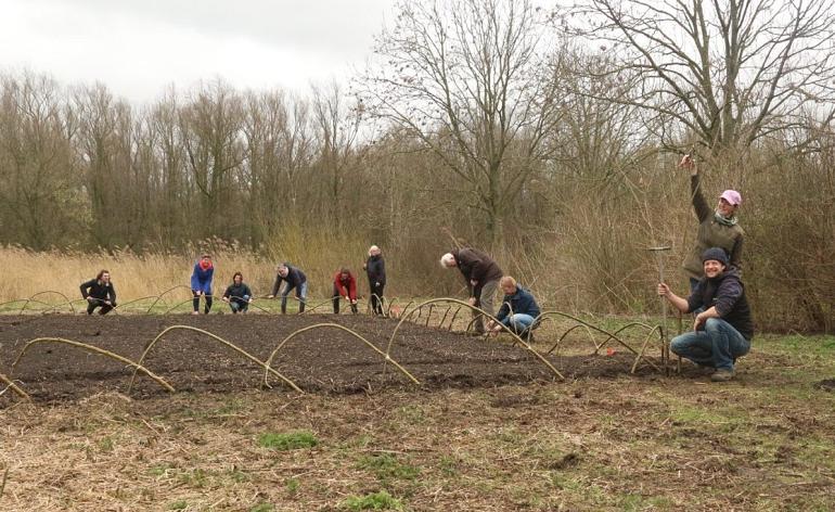 Vrijwilligers aan de slag voor de bijen tijdens NLdoet