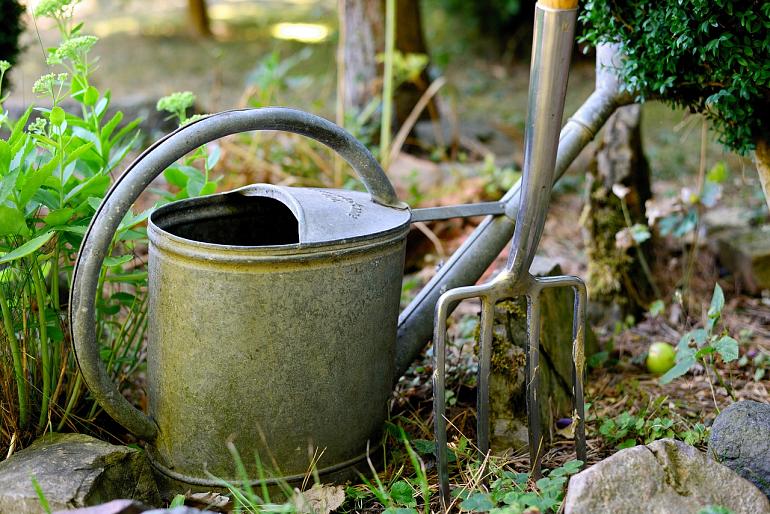 Subsidie hoogheemraadschap voor 'Groenblauw Buurtidee'