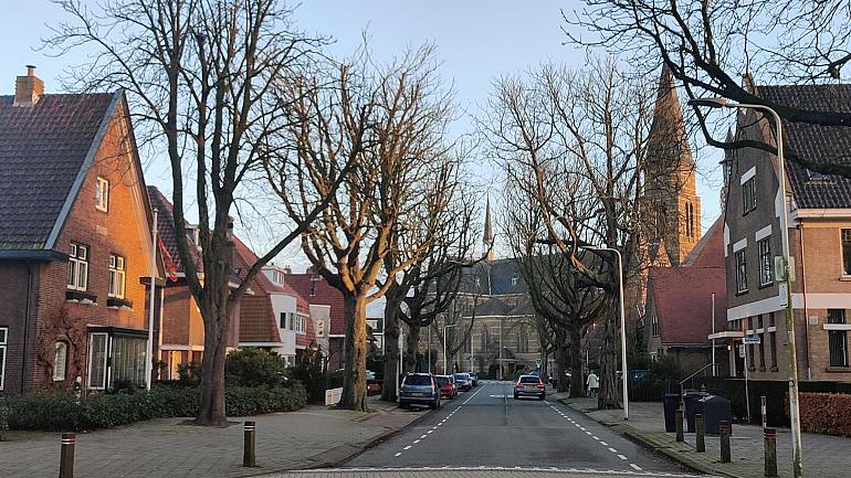 Nieuwe groene inrichting voor de Wilhelminalaan Sassenheim en omgeving