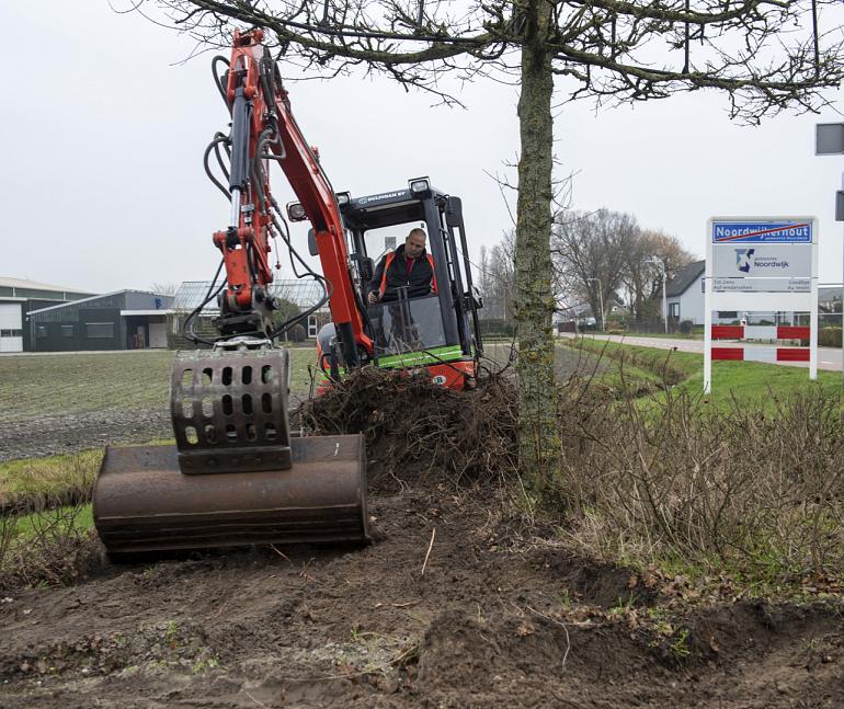 Duizenden planten voor plantsoenen Noordwijkerhout