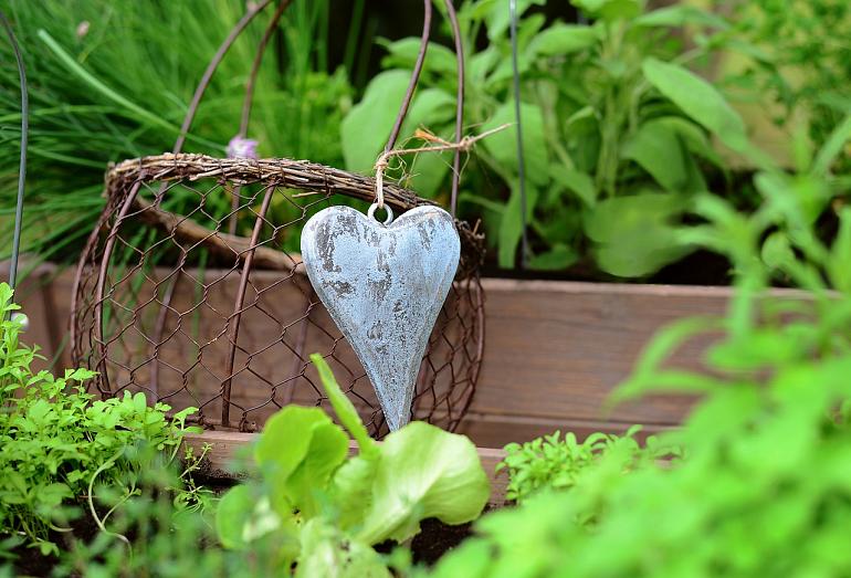 Tuinambassadeurs: Moestuinieren is helemaal in! 