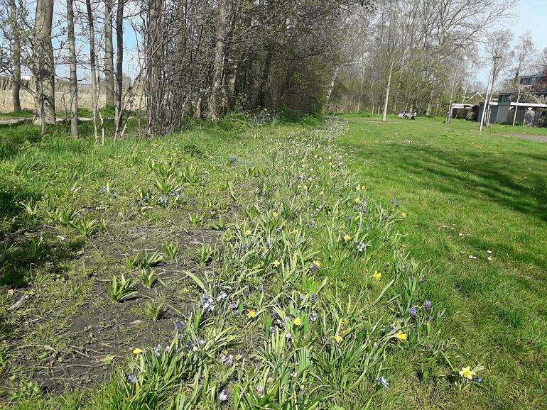 MEERGroen: Handen uit de mouwen voor de natuur, help je mee? 