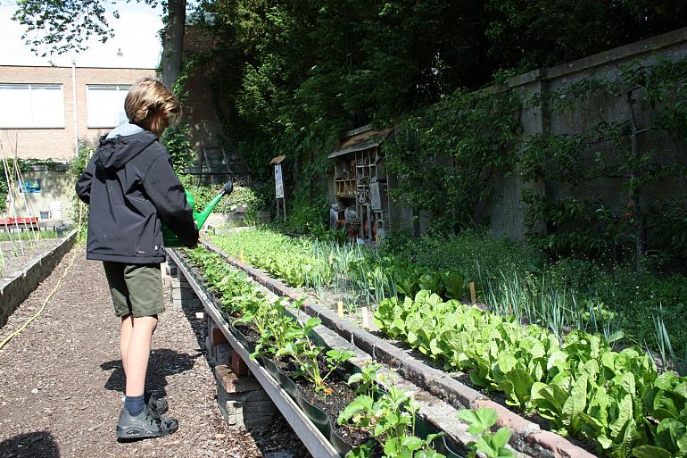 Tip van de Tuinambassadeurs: Je tuin minder vaak water geven