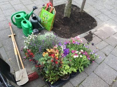 Zelf aan de slag met boomspiegels