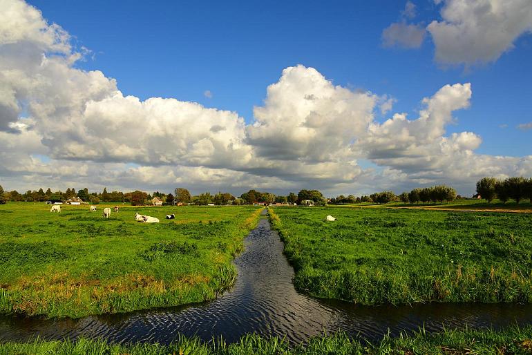 Help mee met onderzoek naar de oeverkanten