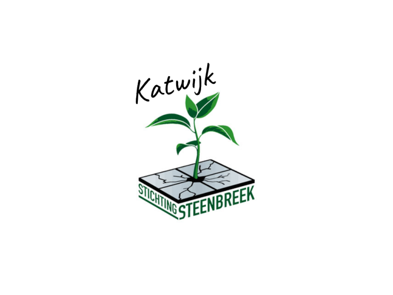 Steenbreek Katwijk